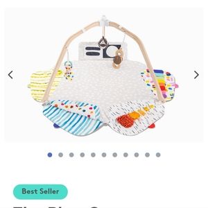 Lovevery play gym- used